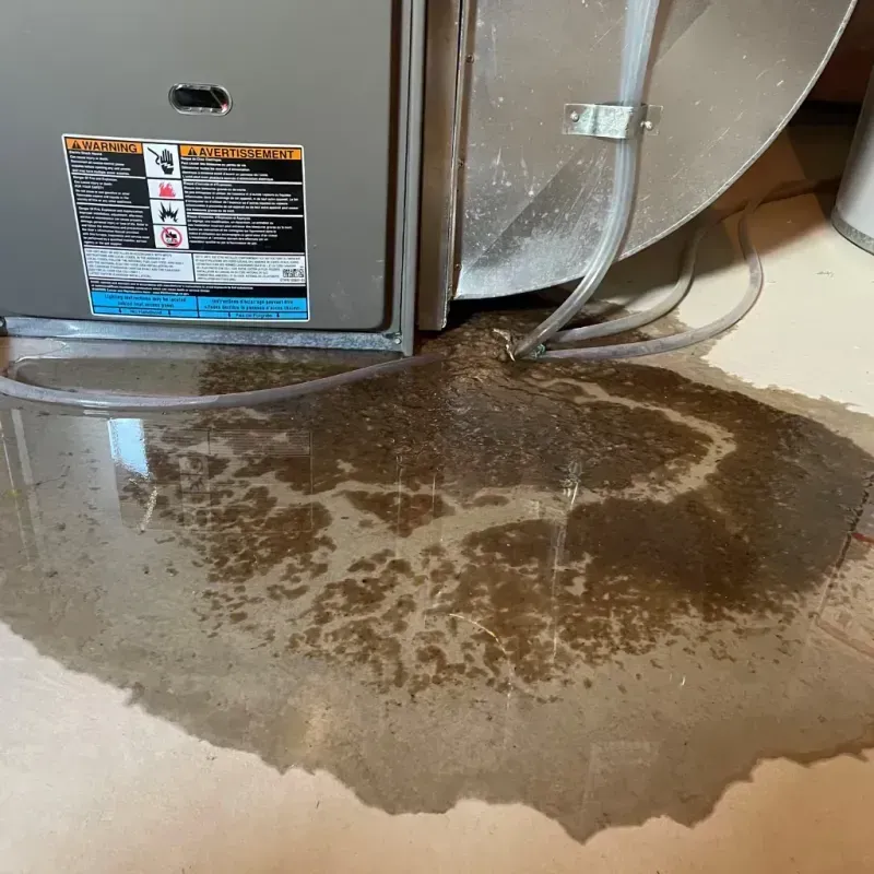 Appliance Leak Cleanup in Mentone, CA